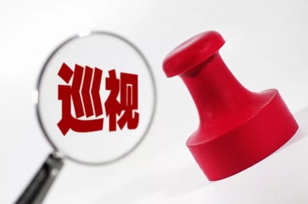 中央巡視組 中央巡視組