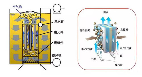 MBR膜.jpg MBR膜.jpg