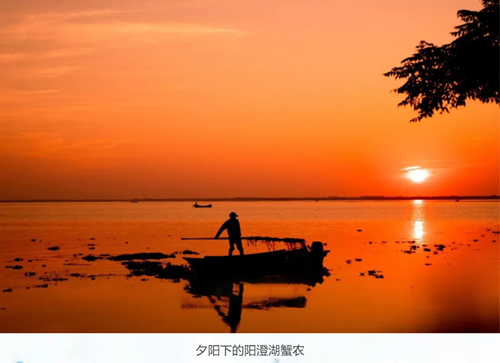 安峰環保.png 安峰環保.png