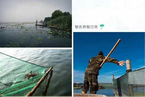 安峰環保.jpg 安峰環保.jpg