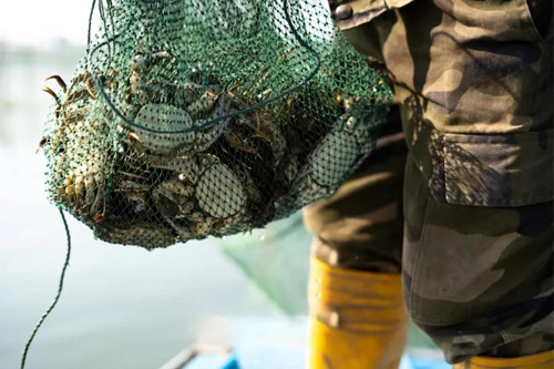 安峰環保.jpg 安峰環保.jpg