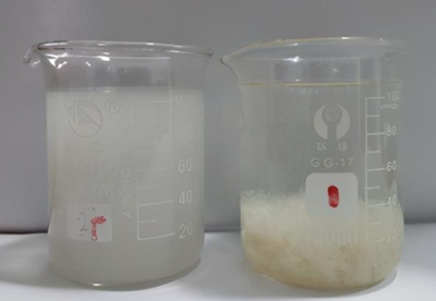 1616741943110449.png 1616739117342159.png