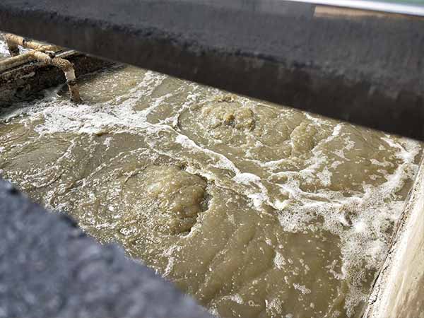 污水處理現場 污水處理現場