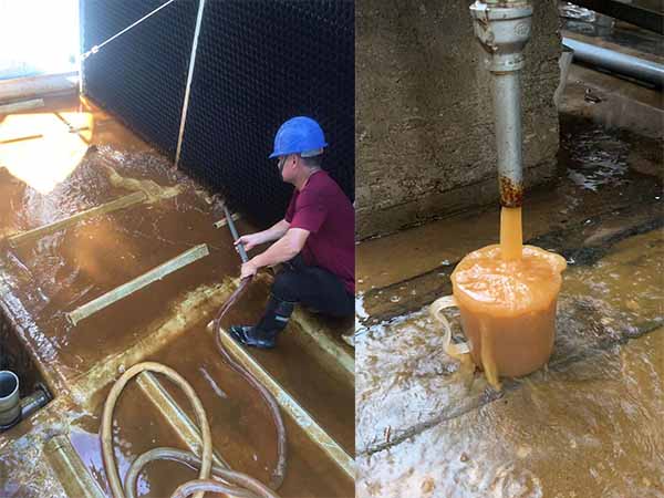 安峰清洗服務現場 安峰清洗服務現場