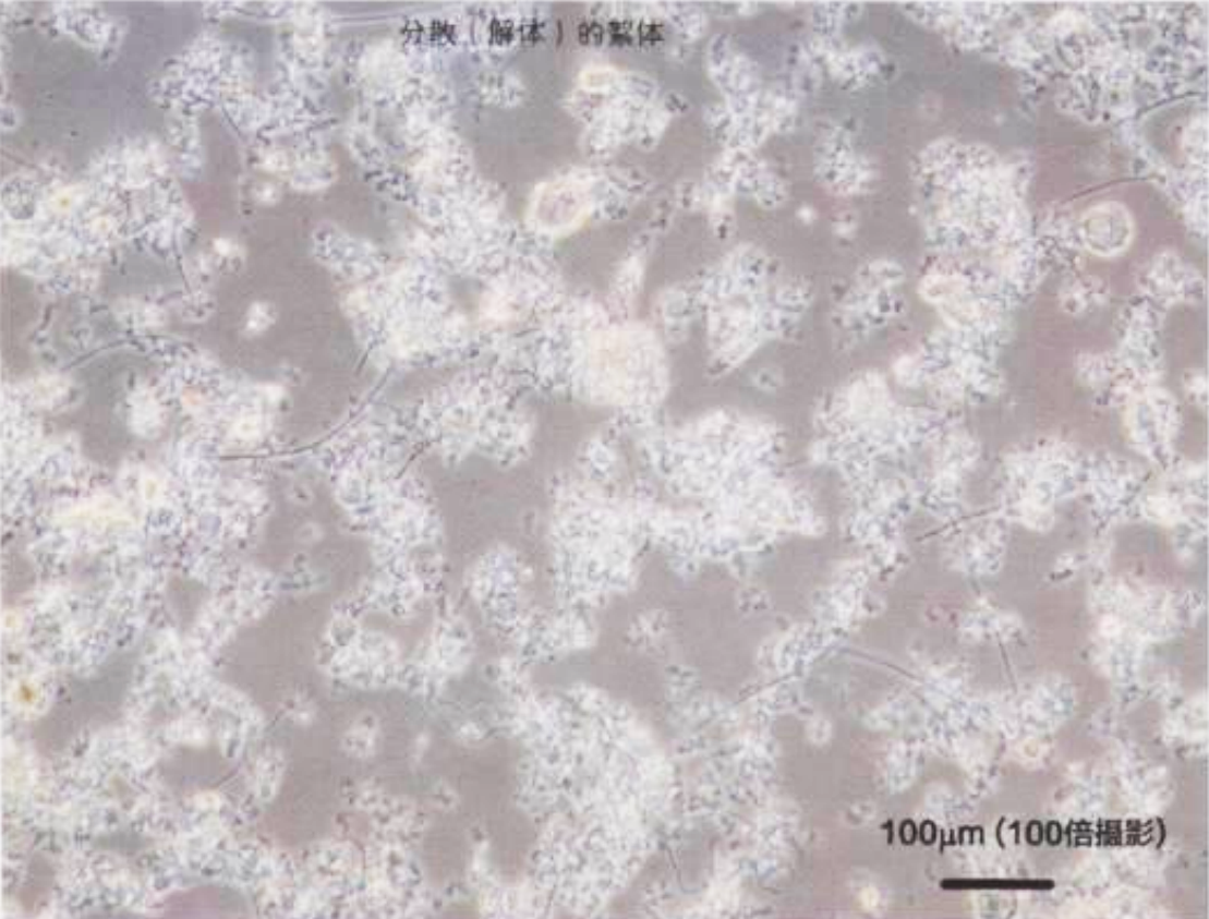 安峰環保.png 安峰環保.png